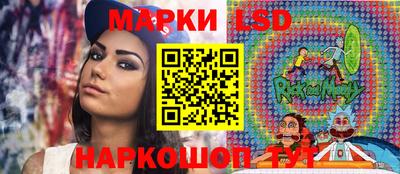 альфа пвп Новодвинск