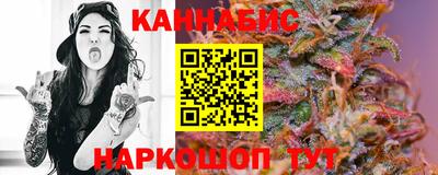 альфа пвп Новодвинск