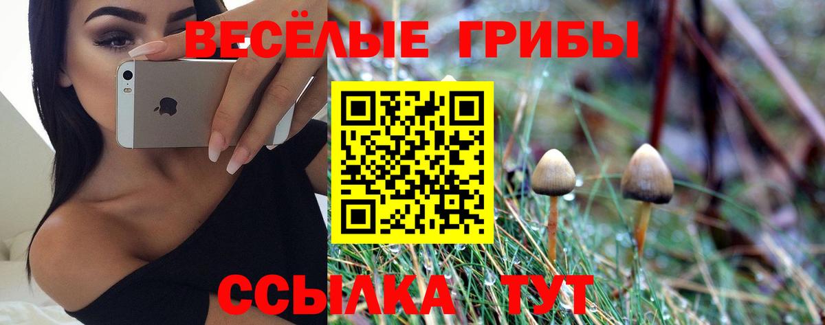 Галлюциногенные грибы ЛСД Сызрань